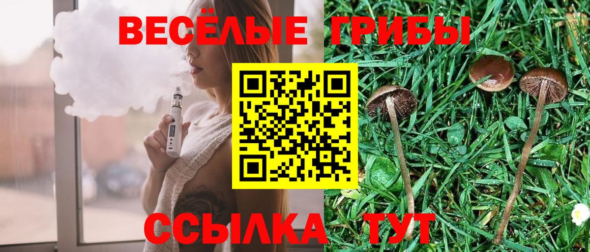 купить закладку  Псилоцибиновые грибы Psilocybe  Вход с VPN  Россия  Галлюциногенные грибы ЛСД 